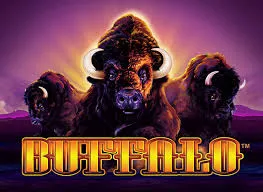 Buffalo Play – Giros, Bonos y Premios Diarios